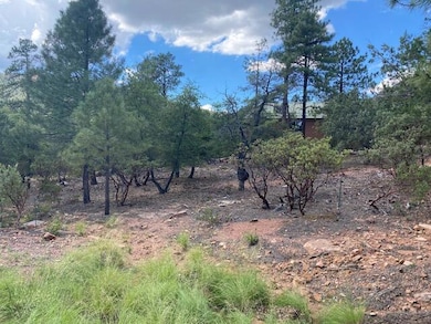 108 W Ruin Hill Loop, Pine, AZ 85544 - photo 3