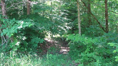 70 Roy Sears Rd, Somerset, KY 42501 - photo 3