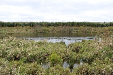 4156 State Route 167, Jefferson, OH 44047 - photo 6