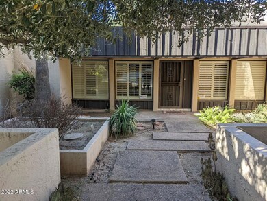 patio2