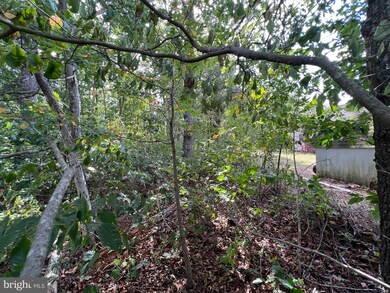 0 Fords Shop Rd, Culpeper, VA 22701 - photo 5