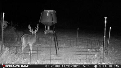 10500 Cr 131, Brownwood, TX 76801 - photo 4