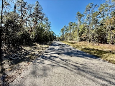 1926 W Rolling Place, Citrus Springs, FL 34434 - photo 2