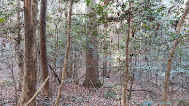 3815 River Mill Ln, Franklinton, NC 27525 - photo 5