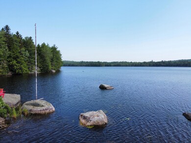 Pond
