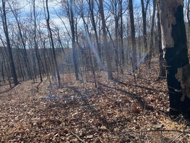 20240 Big Spring Rd, Winslow, AR 72959 - photo 5