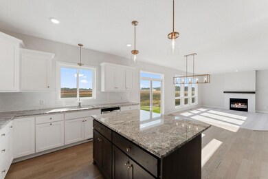 1292 Ardcurra Row, Rosemount, MN 55068 - photo 4