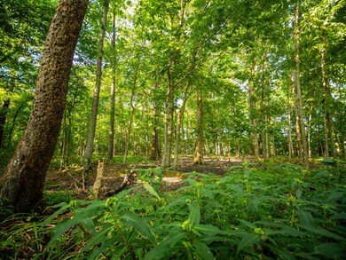 + - 705 Acres unit Tallahatchie County, Drew, MS 38944 - photo 6