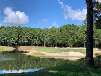 855 Bulls Bay Blvd, Mount Pleasant, SC 29429 - photo 3