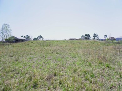 387 Parish Line Rd, Lake Charles, LA 70607 - photo 6