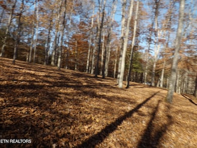 TBD Rt 516 Old Cross Rd, Pineville, KY 40977 - photo 3