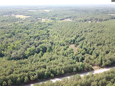 5051 Spring Hill Rd, Rembert, SC 29128 - photo 2