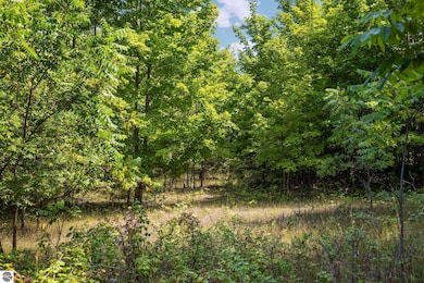 0 S Hill Rd, Cedar, MI 49621 - photo 7