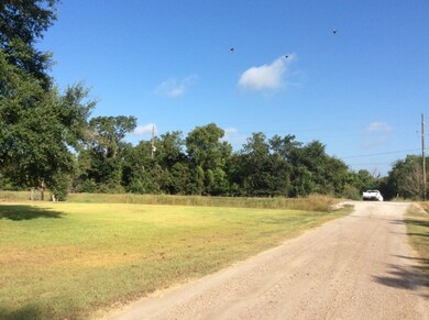 2323 Cottonwood School Rd, Rosenberg, TX 77471 - photo 4