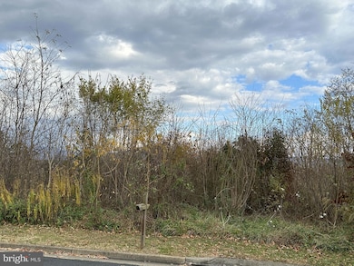 0 Independence Dr, Luray, VA 22835 - photo 3