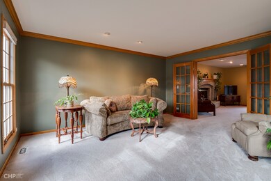 2323 Flat Rock Ct, Naperville, IL 60564 - photo 4