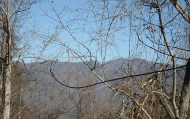 Additional View