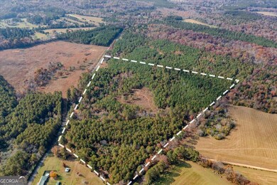 #46 Owens Dairy Rd, Lyerly, GA 30730 - photo 5