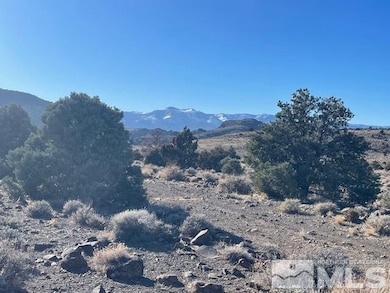 40S Se4nw4-S16 18n 21e, Virginia City, NV 89521 - photo 3