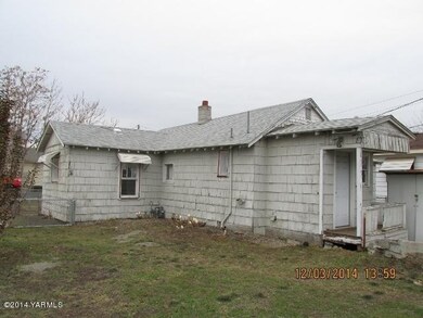Back yard 3