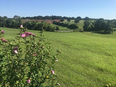 1661 S Songbird Cir, Nixa, MO 65714 - photo 3