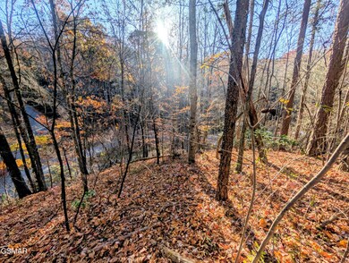 Lot 483 School House Gap Rd, Sevierville, TN 37876 - photo 4