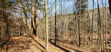 00 Cobb Hill Rd, Moretown, VT 05660 - photo 7