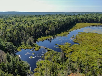 DJI_0928