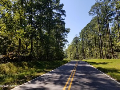 1004 Grouper Run, New Bern, NC 28562 - photo 4