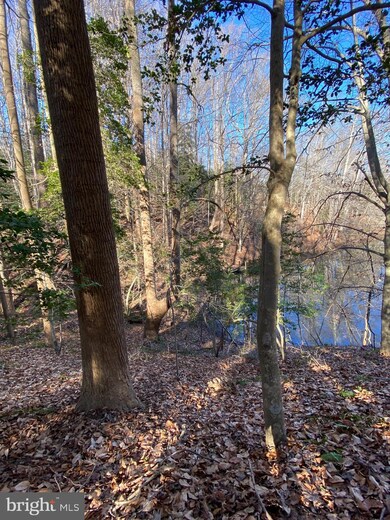 0 Lot 68 & 67 S Independence unit VAWE118306, Montross, VA 22520 - photo 4