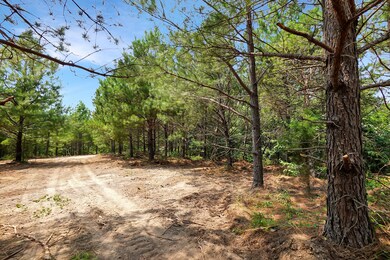 5 Cox Hollow Rd, Dover, TN 37058 - photo 2