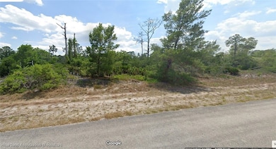 3254 Bluebird Ave, Lake Placid, FL 33852 - photo 4