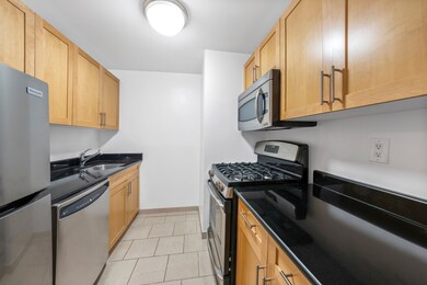 Nolita Place unit 11E, New York, NY 10002 - photo 4