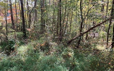 11 Mountain View Trail, Murphy, NC 28906 - photo 2