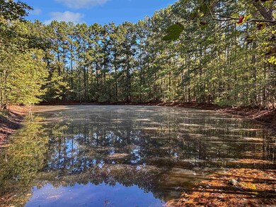 904 Grant 9, Sheridan, AR 72150 - photo 4