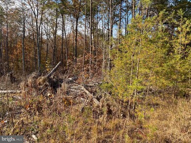 0 Courthouse Rd unit VALA2000784, Louisa, VA 23093 - photo 3