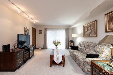 6453 N Northwest Hwy unit 2C, Chicago, IL 60631 - photo 3