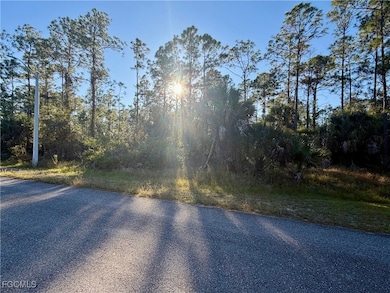 This vacant lot might just be the perfect spot to build your DREAM HOME!
