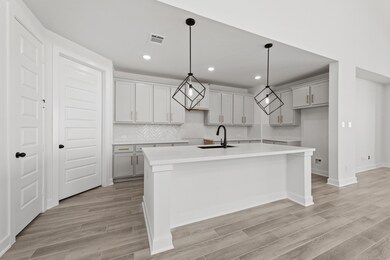 16254 Mallard View Ln, Hockley, TX 77447 - photo 5