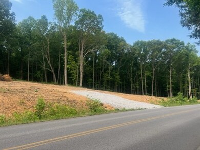 2 Jones Creek Rd, Dickson, TN 37055 - photo 2