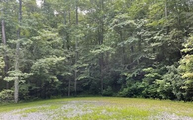 Additional View