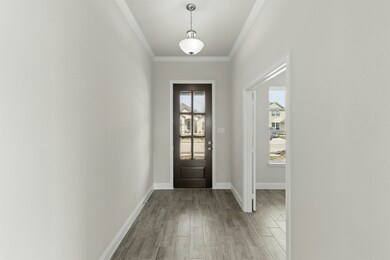 808 Stone Eagle Dr, Azle, TX 76020 - photo 5