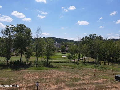 987 Mockingbird Ln, Loudon, TN 37774 - photo 7