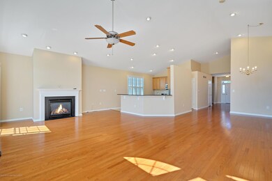 Great Room Fire Place