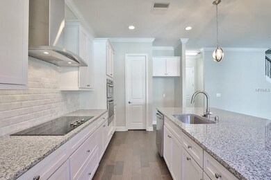 3626 W Clark Cir, Tampa, FL 33629 - photo 6