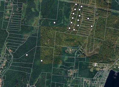 118 Hilltop Rd, Monticello, NY 12701 - photo 4