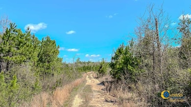 0 Old Cc Rd, Cassatt, SC 29032 - photo 2