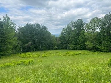 360 City Farm Rd, Newport, VT 05855 - photo 3