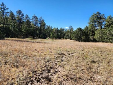 Meadow