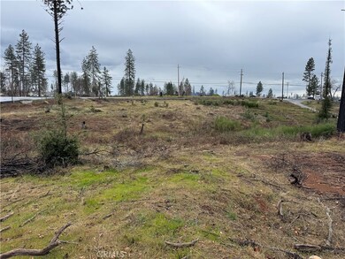 8083 Skyway, Paradise, CA 95969 - photo 3